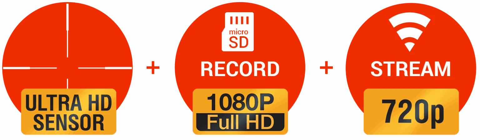 DNWS-5 dual-stream video